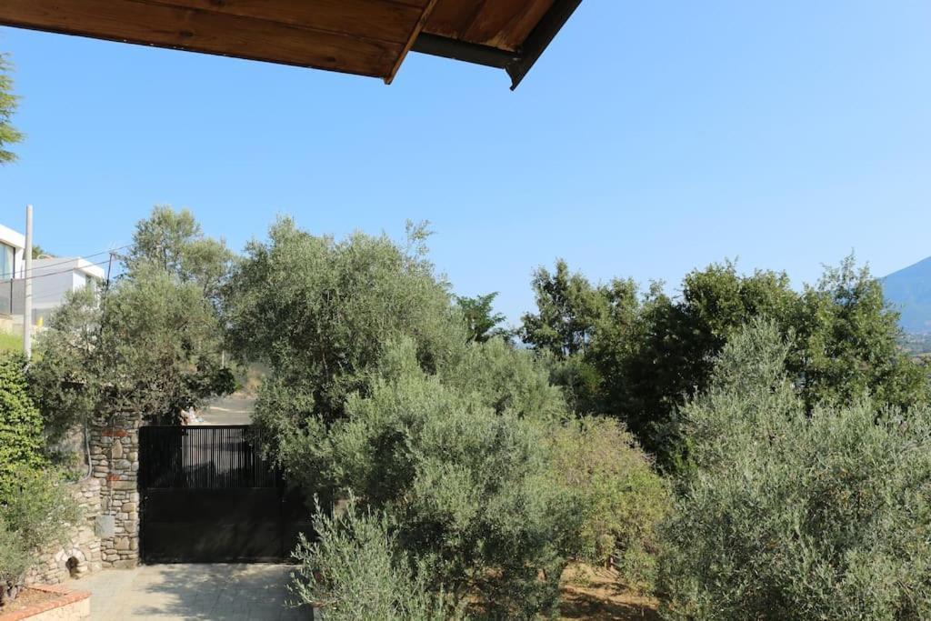 Private Hillside Near Teg Full Privacy Tirana