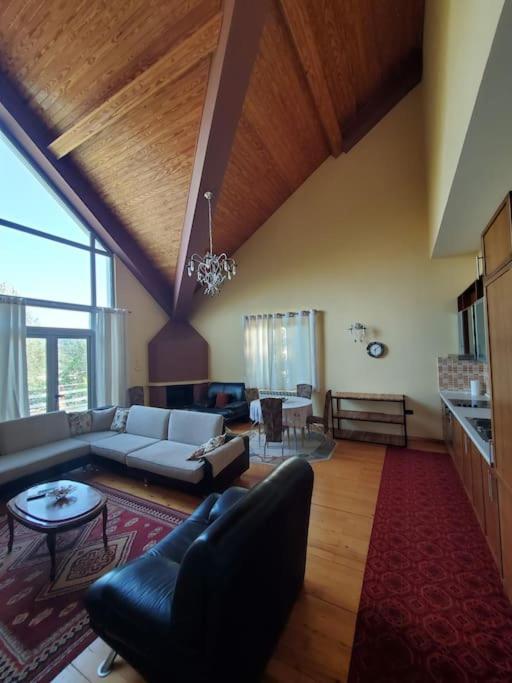 Private Hillside Near Teg Full Privacy Villa Tirana