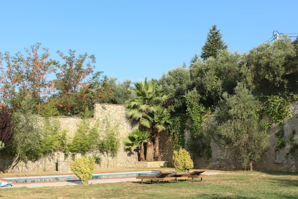 Private Hillside Near Teg Full Privacy Tirana