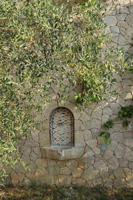 Private Hillside Near Teg Full Privacy * Тирана
