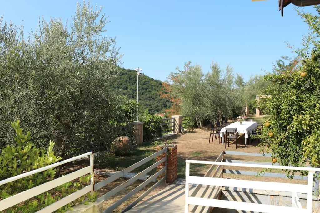 Private Hillside Near Teg Full Privacy Villa Tirana